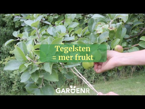Tegelsten = mer frukt - Trädgårdshacks med GardenR