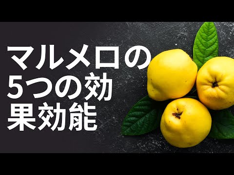 観賞用マルメロ 植物