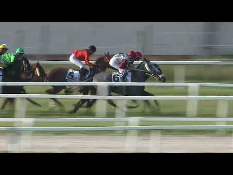 2023.06.03 9. FUTAM - ERZSÉBET KIRÁLYNÉ DÍJ (ELIT KAT.)