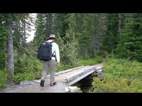 Reflection Lake to Narada Falls Loop | Mt. Rainier National Park