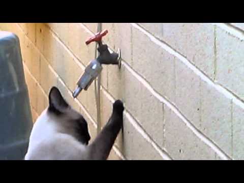 ZaFrina takes a bath