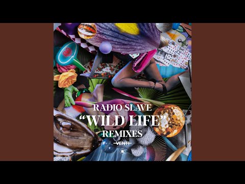Wild Life (Jamie 3: 26 & Danou P 'DiscoTek' Remix)