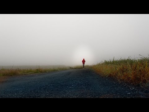 SD11 - Cold And Dark (Official Music Video)