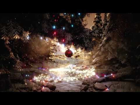 Affordable Bariatric Surgery in Ensenada Mexico: Your Complete Guide to Hospital Velmar