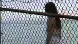 Photographs and Memories Jason Reeves (Official Video)