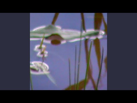 2024 - MOISSON LIVIDE - Sent Empèri Gascon   (Full Album)