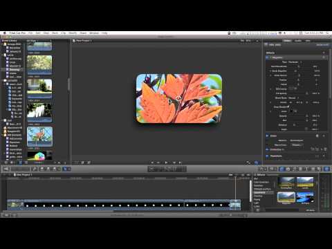 Final Cut Pro X (FCPX) Effect: Magnifier