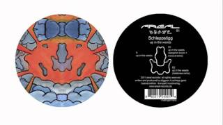 Schleppstigg - Up in the Weeds (Kalabrese Remix)