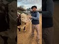 Home 21 Video thumbnail