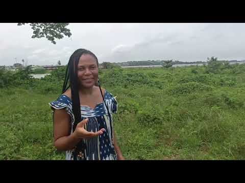 Djeka, the queen of plants in the African Pharmacopoeia