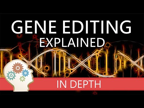 GENE EDITING EXPLAINED! - A comprehensive guide to the principles, methods and technologies!