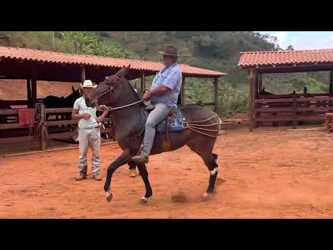 Visita de nosso amigo Taco muladeiro dando um repasse em uma das máquinas ✅