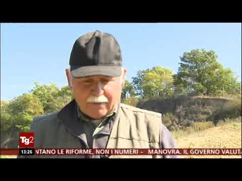 TV (Museo di Montevarchi) Tg2-storie sabato 01 DICembre 2018 ENORME MAMMUTH tra Firenze e Arezzo