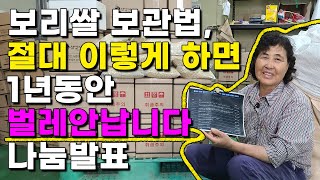 보리 쌀잡곡 1년동안 벌레 안나고 보관하는방법, 보리쌀 나눔 결과발표 및 한정판매