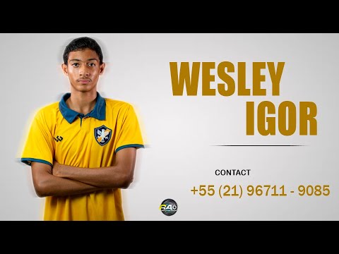 Wesley Igor - Zagueiro / Lateral Esquerdo - 2008
