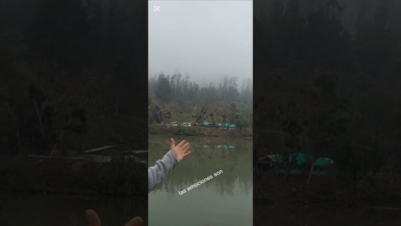 Daniel Morales Caceres-15