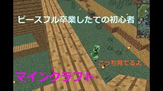 【Minecraft】ピースフル卒業したての初心者  　アラカンみるきーと一羽でマインクラフト