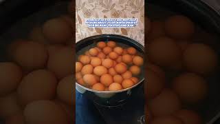 Download lagu How to Boil Large Amounts of Eggs so They Don't Break Easily and Are Easy to Peel mp3 Download lagu How to Boil Large Amounts of Eggs so They Don't Break Easily and Are Easy to Peel mp3