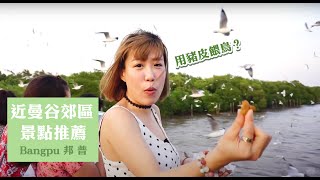 preview picture of video 'EP11 小心！頭頂接到黃金～泰國《Bangpu邦普》餵鳥，超級壯觀一次就難忘！|泰國人推薦| ดูนกนางนวลที่บางปู !!'