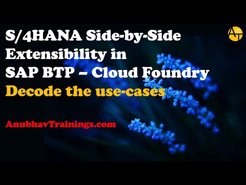 SAP BTP side by side extension | Side by Side Extensions on SAP BTP | Extension for SAP S 4HANA API