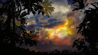 Johnny Cash  - No Earthly Good