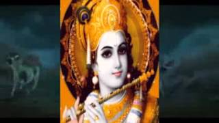 Kula Shaker Krishna Mountain Lifter