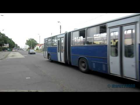Ikarus buses in Budapest - Ikarusok Rákospalota-Újpestnél HD