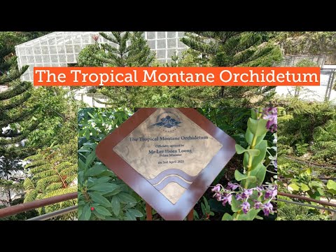 The Tropical Montane Orchidetum || Singapore Botanic Gardens