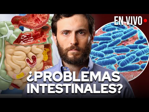 Como Reparar tu Intestino y Mejorar tu Distensión