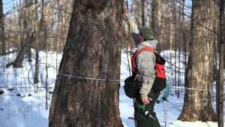 preview picture of video 'Branon's West View Maples - Vermont Maple Syrup Production'