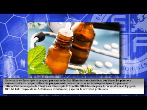 Cursos Youtube Online Euroinnova