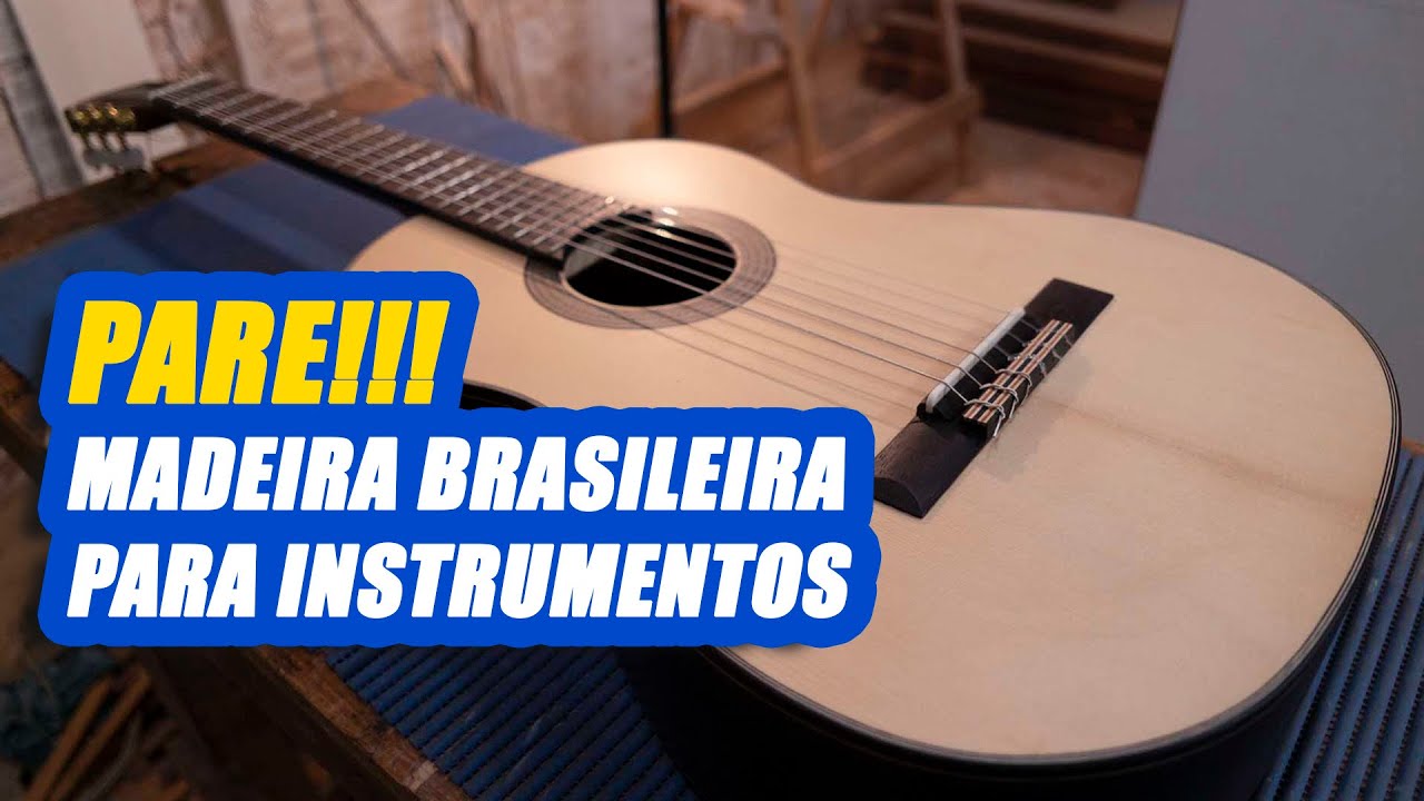 Chega!!! Defensores de Madeira brasileira para luthieria