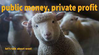 the impact of wool // the reality of ethical, natural, and regenerative wool