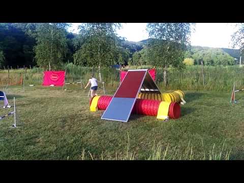 Spin agility camp 2017