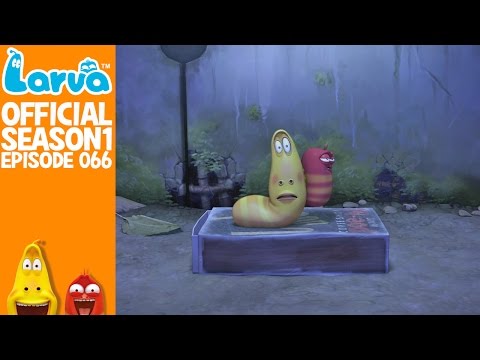[Official] Super Glue - Larva Season 1 Episode 66