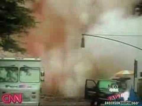 Bill Holt's Dreamies® NYC