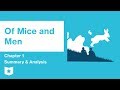 Of Mice and Men  | Chapter 1 Summary & Analysis | John Steinbeck