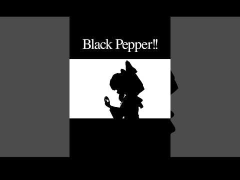 【作ってみた】Black Pepper!! PV【影絵】