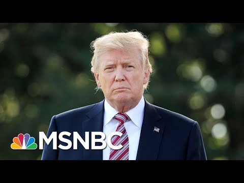 How Will President Donald Trump Handle A Democratic Congress? | MSNBC Video