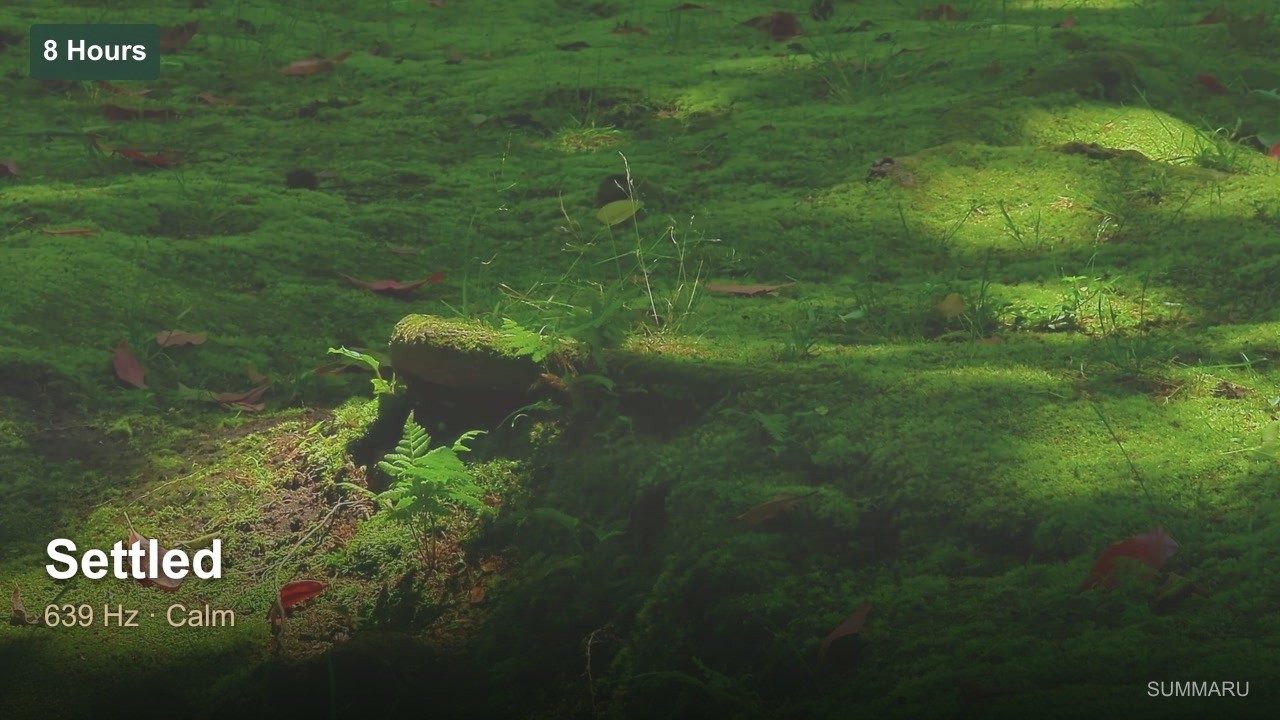 Held | 8 Hour Calm Music | 639Hz Grounded Stillness