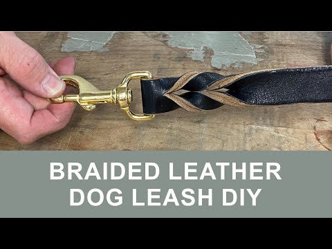 Braided Leather Dog Leash DIY