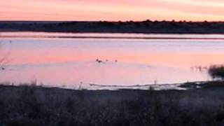 preview picture of video 'DA2W - Sunrise at Sumner Lake State Park New Mexico'