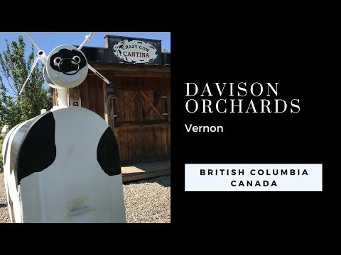 Davison Orchards - Best Family Things To Do In Vernon BC
