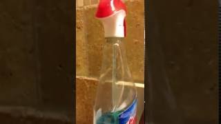 I have a bottle of Windex