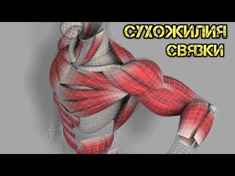Как можно получить квоту на замену коленного сустава Боль в правом боку отдает под ребром и отдает в спину