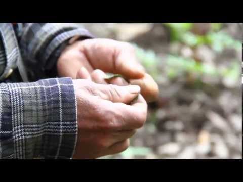 "Accomarca". Documental