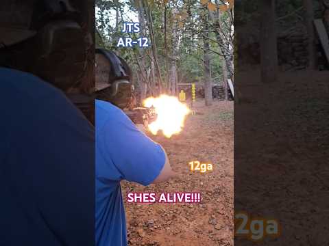 JTS AR-12  -Running Flawlessly w/ High Velocity Shells! This thing is INSANE!! [SquirtBangReplicate]
