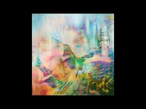 Seahawks - Time Enough For Love (2024)