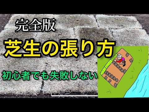 石灰岩の芝生について詳しく解説