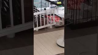 いやw   顔(笑)(笑)(笑)